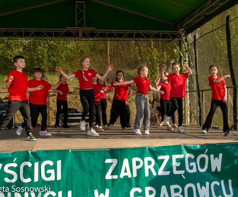 2026.05.10 - 10. ZAWODY ZAPRZĘGÓW KONNYCH (fot. Elżbieta Sosnowski)