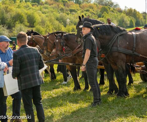 2026.05.10 - 10. ZAWODY ZAPRZĘGÓW KONNYCH (fot. Elżbieta Sosnowski)