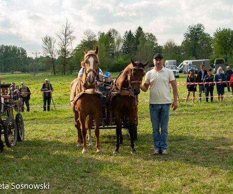 2026.05.10 - 10. ZAWODY ZAPRZĘGÓW KONNYCH (fot. Elżbieta Sosnowski)