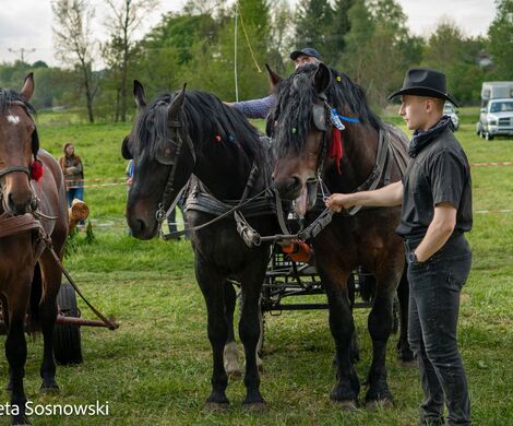 2026.05.10 - 10. ZAWODY ZAPRZĘGÓW KONNYCH (fot. Elżbieta Sosnowski)