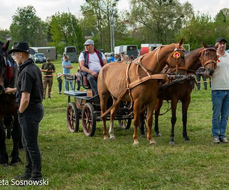 2026.05.10 - 10. ZAWODY ZAPRZĘGÓW KONNYCH (fot. Elżbieta Sosnowski)