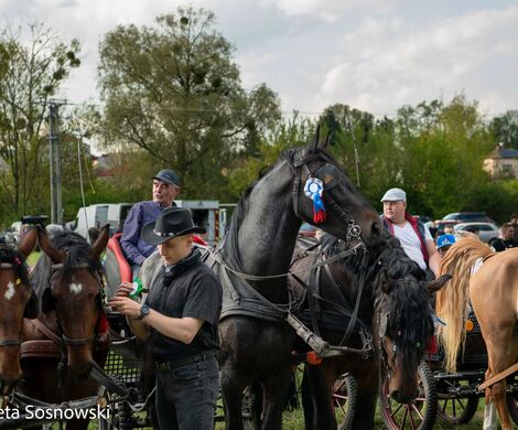 2026.05.10 - 10. ZAWODY ZAPRZĘGÓW KONNYCH (fot. Elżbieta Sosnowski)