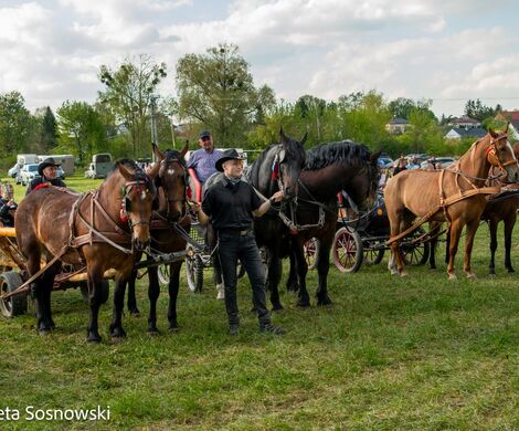2026.05.10 - 10. ZAWODY ZAPRZĘGÓW KONNYCH (fot. Elżbieta Sosnowski)