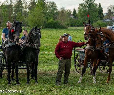 2026.05.10 - 10. ZAWODY ZAPRZĘGÓW KONNYCH (fot. Elżbieta Sosnowski)