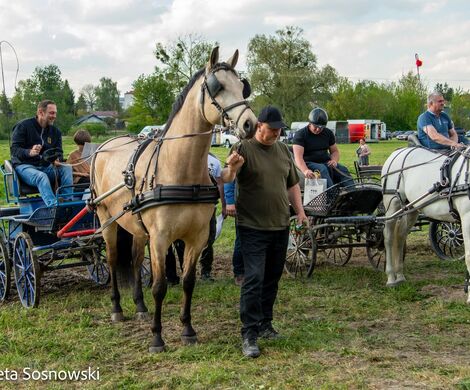 2026.05.10 - 10. ZAWODY ZAPRZĘGÓW KONNYCH (fot. Elżbieta Sosnowski)