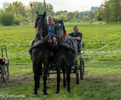 2026.05.10 - 10. ZAWODY ZAPRZĘGÓW KONNYCH (fot. Elżbieta Sosnowski)