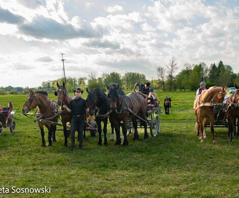 2026.05.10 - 10. ZAWODY ZAPRZĘGÓW KONNYCH (fot. Elżbieta Sosnowski)