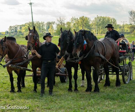 2026.05.10 - 10. ZAWODY ZAPRZĘGÓW KONNYCH (fot. Elżbieta Sosnowski)