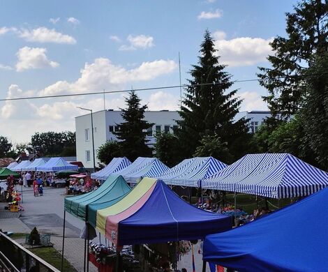 2026.07.31 - LIPIEC W OBIEKTYWIE