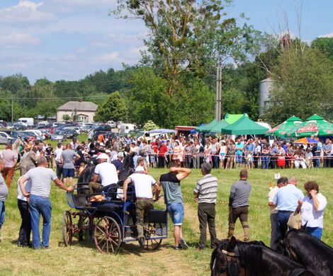 II ZAWODY W POWOŻENIU ZAPRZĘGAMI