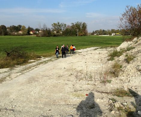 TAJEMNICA STRAŻNIKA GRABOWEGO GRODU