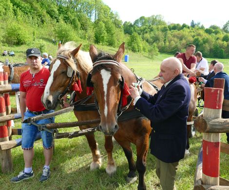 III ZAWODY W POWOŻENIU ZAPRZĘGAMI