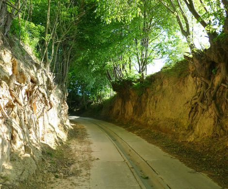 NAGRANIA DO KLIPU (01.06.2019)