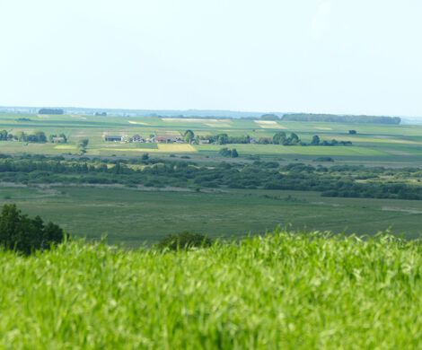 NAGRANIA DO KLIPU (01.06.2019)