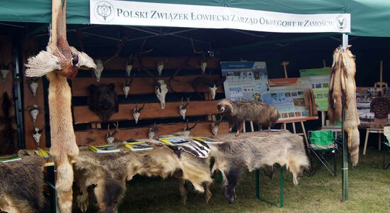 DOŻYNKI POWIATOWO-GMINNE
