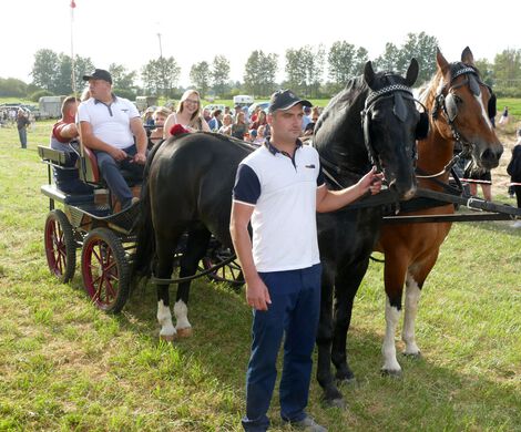 IV ZAWODY ZAPRZĘGÓW KONNYCH