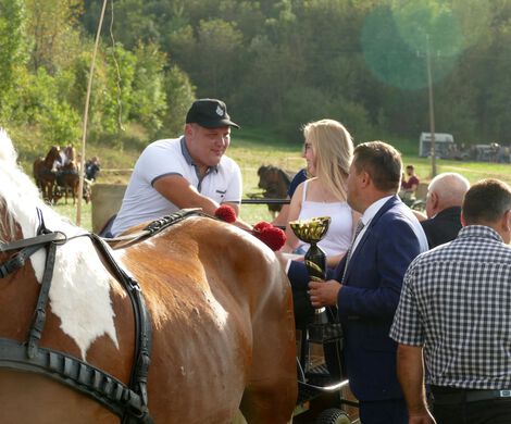 IV ZAWODY ZAPRZĘGÓW KONNYCH