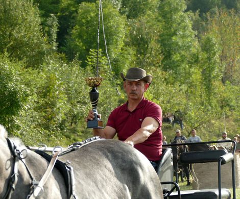 IV ZAWODY ZAPRZĘGÓW KONNYCH