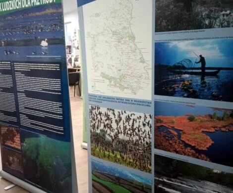 WYSTAWA "NATURA 2000 - LUBELSKIE"