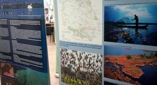 WYSTAWA "NATURA 2000 - LUBELSKIE"