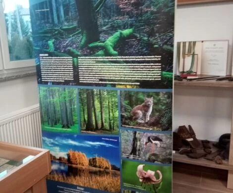 WYSTAWA "NATURA 2000 - LUBELSKIE"