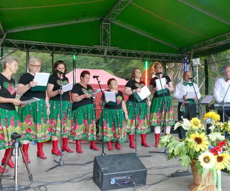 PIKNIK W DAŃCZYPOLU