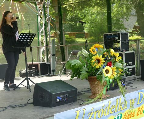 PIKNIK W DAŃCZYPOLU