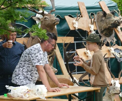 PIKNIK W DAŃCZYPOLU