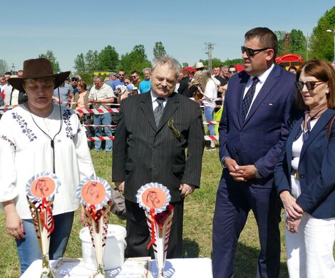 VII ZAWODY ZAPRZĘGÓW KONNYCH