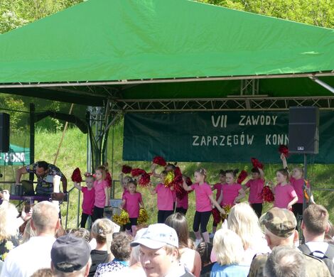VII ZAWODY ZAPRZĘGÓW KONNYCH