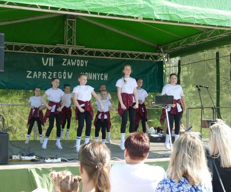 VII ZAWODY ZAPRZĘGÓW KONNYCH