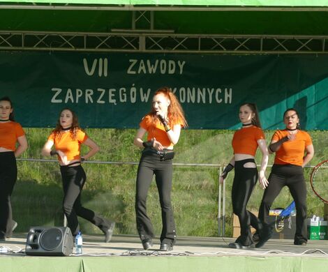 VII ZAWODY ZAPRZĘGÓW KONNYCH