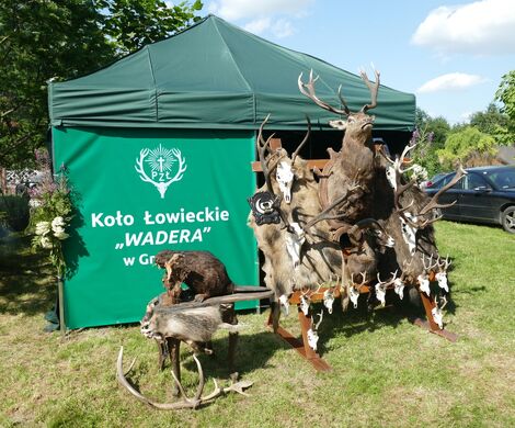 XIII PIKNIK U ŹRÓDEŁKA W DAŃCZYPOLU - 9 LIPCA 2023 ROKU