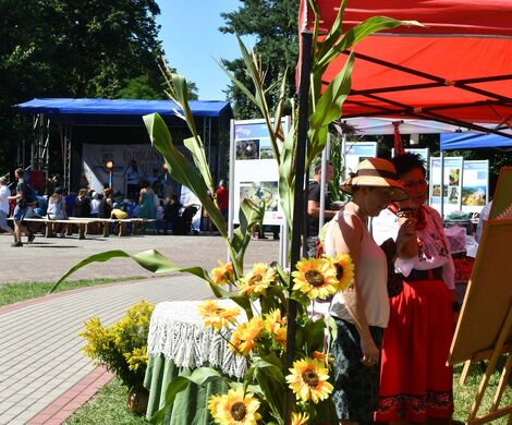 ROZTOCZAŃSKI FESTIWAL TWÓRCZOŚCI LUDOWEJ