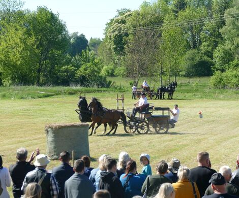 VIII WYŚCIGI ZAPRZĘGÓW KONNYCH