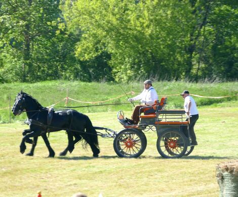 VIII WYŚCIGI ZAPRZĘGÓW KONNYCH