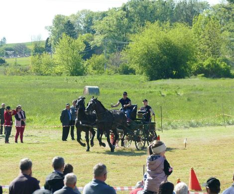 VIII WYŚCIGI ZAPRZĘGÓW KONNYCH