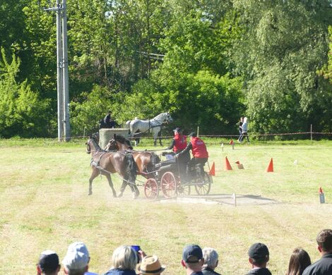 VIII WYŚCIGI ZAPRZĘGÓW KONNYCH