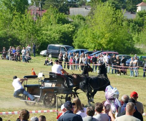 VIII WYŚCIGI ZAPRZĘGÓW KONNYCH