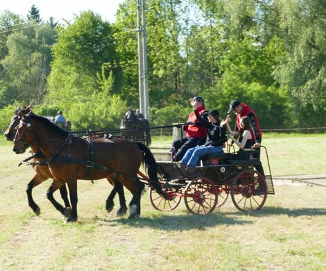 VIII WYŚCIGI ZAPRZĘGÓW KONNYCH