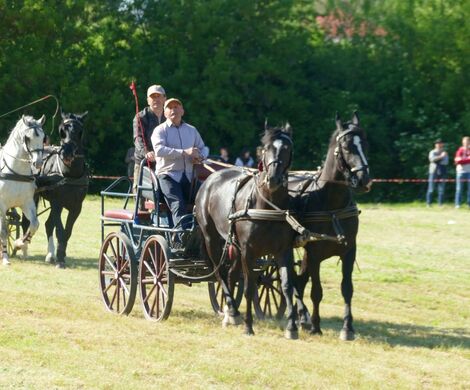 VIII WYŚCIGI ZAPRZĘGÓW KONNYCH