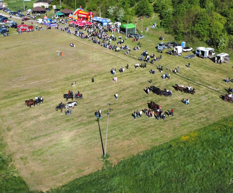 VIII WYŚCIGI ZAPRZĘGÓW KONNYCH