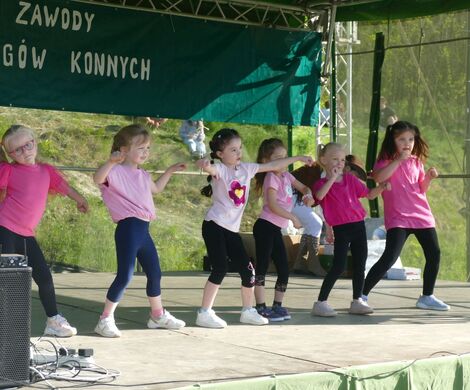 VIII WYŚCIGI ZAPRZĘGÓW KONNYCH
