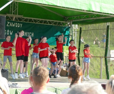 VIII WYŚCIGI ZAPRZĘGÓW KONNYCH