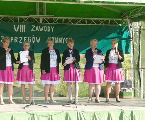 VIII WYŚCIGI ZAPRZĘGÓW KONNYCH