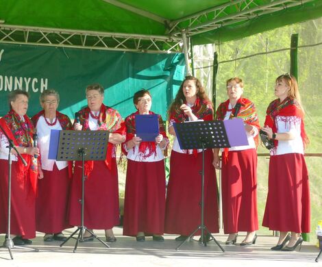 VIII WYŚCIGI ZAPRZĘGÓW KONNYCH