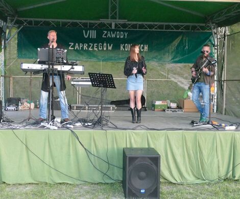 VIII WYŚCIGI ZAPRZĘGÓW KONNYCH