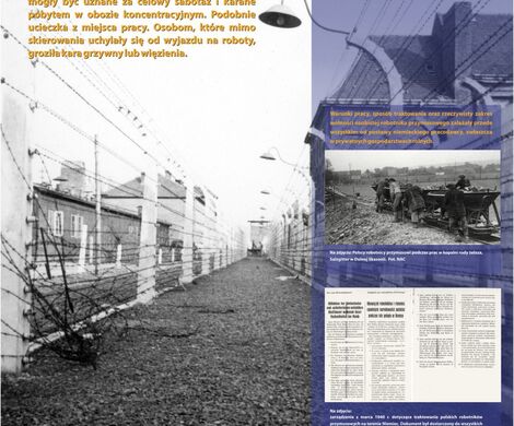 POLSCY ROBOTNICY PRZYMUSOWI W NIEMCZECH 1939-1945
