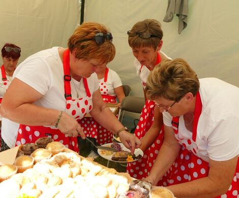 XXV JUBILEUSZOWE ZAMOJSKIE DNI FOLKLORU