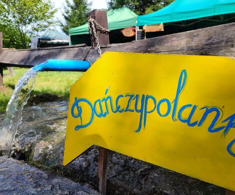 PIKNIK W DAŃCZYPOLU